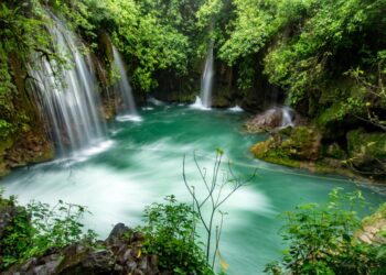 Avanza el deterioro del medio ambiente en México y el mundo