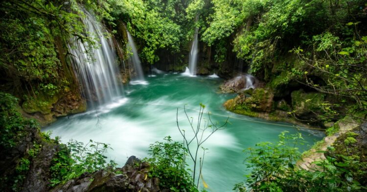 Avanza el deterioro del medio ambiente en México y el mundo
