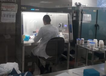 Reporta Tamaulipas 62 nuevos casos de contagios de COVID-19