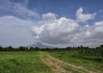 Tierras de Victoria se quedan sin sembrar