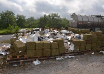 Incinera FGR 11 toneladas de narcóticos en 3 estados del país