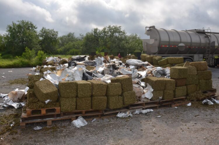 Incinera FGR 11 toneladas de narcóticos en 3 estados del país