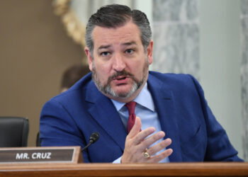 Senador Cruz: gobierno debe rectificar política de seguridad fronteriza