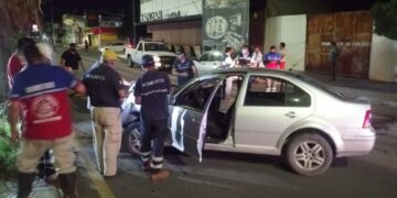 Chofer destroza su auto al chocar con palmera