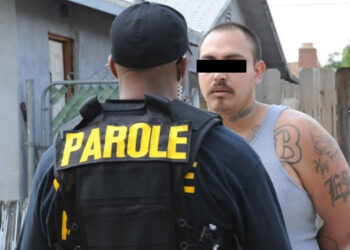 Abbott veta leyes en justicia criminal, comunicación rural y educar contra el abuso.