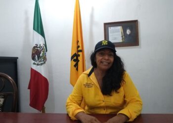 Culturizar al PRD es generar riqueza para el pueblo: Esther Mendoza 