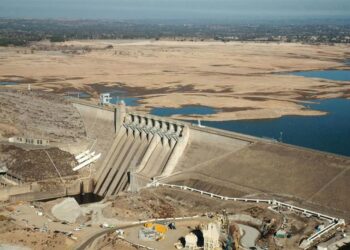 Sequía deja graves daños en campo mexicano; incrementa importación de granos