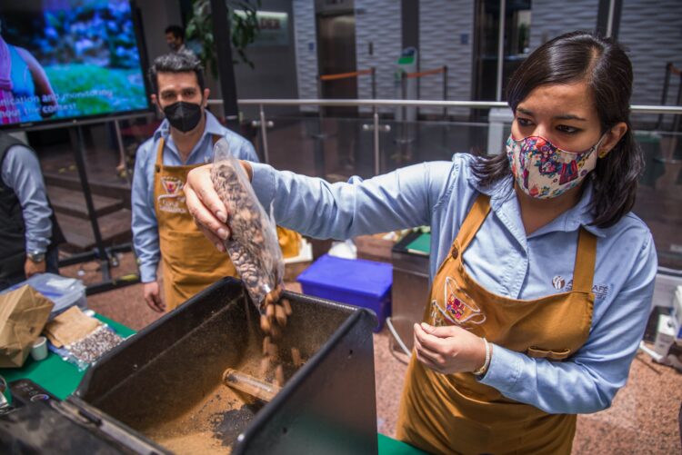 Reconocen calidad y altos estándares de café mexicano de pequeños productores
