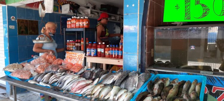 Precios de pescados y mariscos en La Puntillita se mantienen