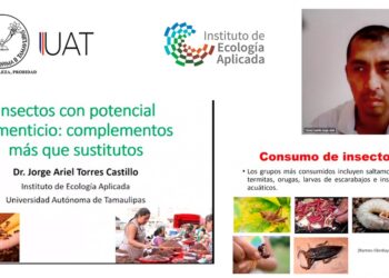 Promueve UAT cultura del consumo de insectos comestibles
