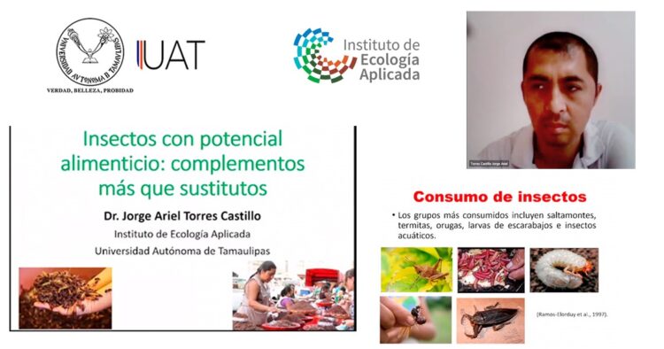 Promueve UAT cultura del consumo de insectos comestibles