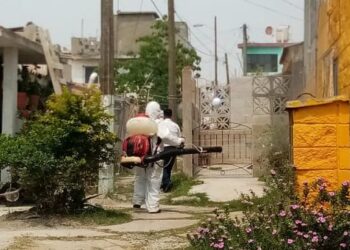 Continúan acciones preventivas de combate al dengue en Madero.