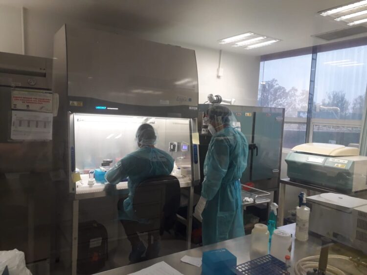 Pandemia de COVID-19 registra 114 nuevos casos en Tamaulipas Y 14 muertos hoy