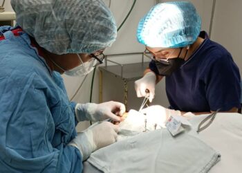 IMSS Tamaulipas realiza segunda procuración de córneas en pandemia de COVID-19