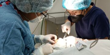 IMSS Tamaulipas realiza segunda procuración de córneas en pandemia de COVID-19