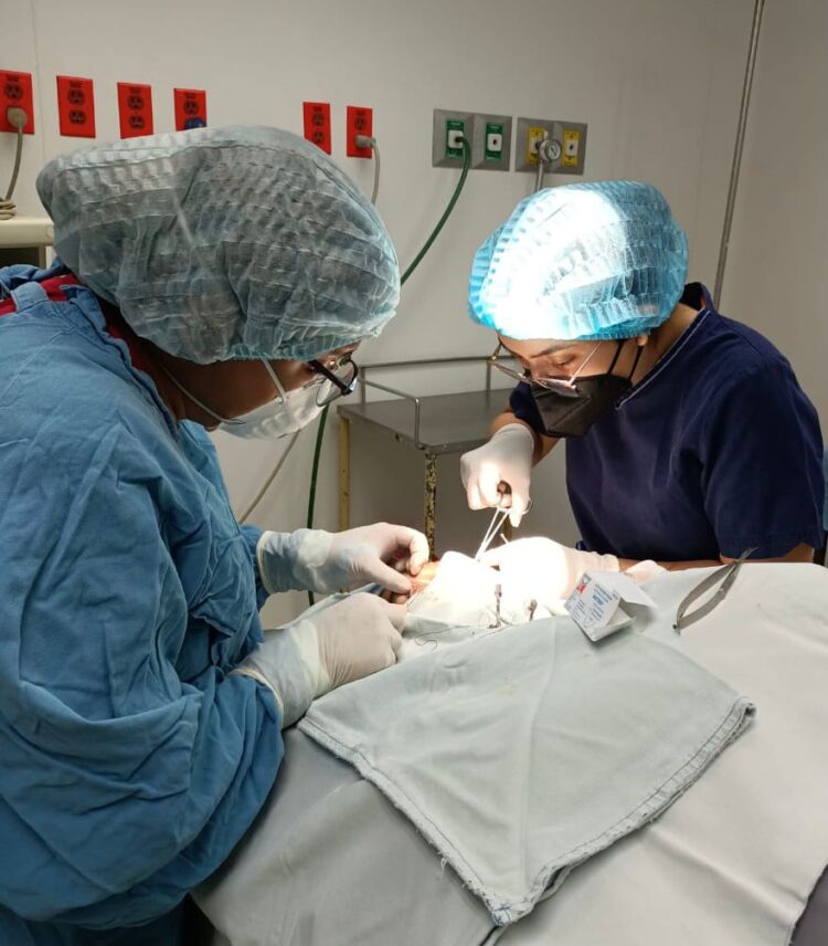 IMSS Tamaulipas realiza segunda procuración de córneas en pandemia de COVID-19