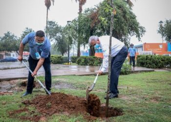 Lleva Sanmiguel campaña de reforestación a rotonda de UAT