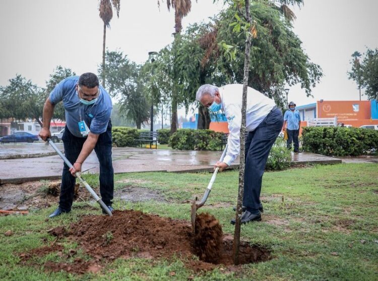 Lleva Sanmiguel campaña de reforestación a rotonda de UAT