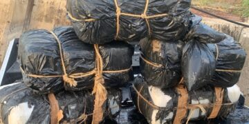 Confiscan bultos de marihuana en el río Bravo