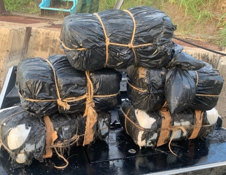 Confiscan bultos de marihuana en el río Bravo