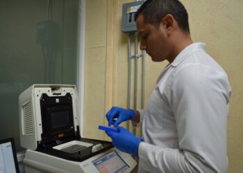 Ronda Tamaulipas los 5 mil 500 muertos por Coronavirus