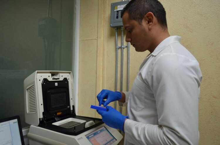 Ronda Tamaulipas los 5 mil 500 muertos por Coronavirus