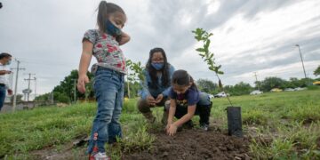 Inicia Ayuntamiento de Victoria campaña de reforestación