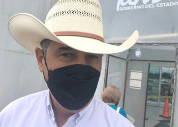 Sector pecuario favorecido por lluvias