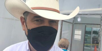 Sector pecuario favorecido por lluvias