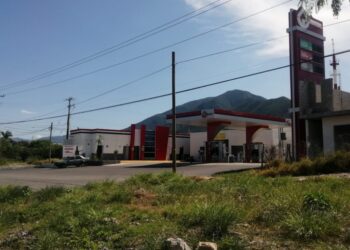 Delincuente asalta en gasolinera