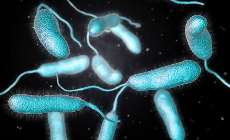 Continua grave pescador afectado por bacteria “come carne”