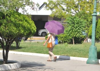 Se esperan temperaturas de hasta 45 grados en canicula