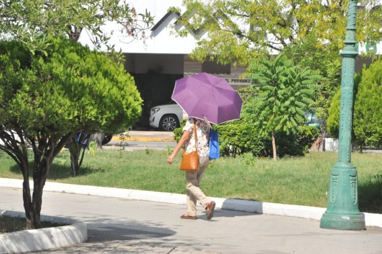 Se esperan temperaturas de hasta 45 grados en canicula