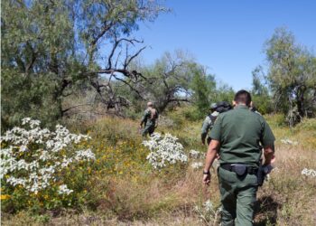 Encuentran dos cuerpos sin vida en el sur de Texas.