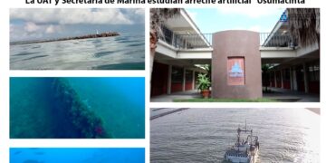 UAT y Secretaría de Marina estudian el arrecife artificial Usumacinta E-20
