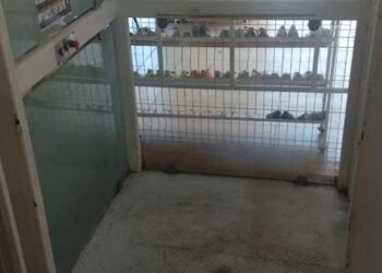 Tres meses sin funcionar elevador de nuevo mercado en Tampico