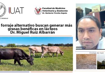 Con forraje alternativo buscan generar más grasas benéficas en lácteos