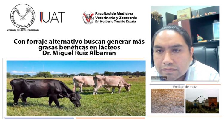 Con forraje alternativo buscan generar más grasas benéficas en lácteos