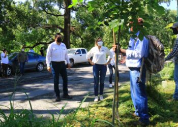 Supervisa Pilar Gómez limpieza en vialidades de Cd. Victoria