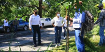 Supervisa Pilar Gómez limpieza en vialidades de Cd. Victoria