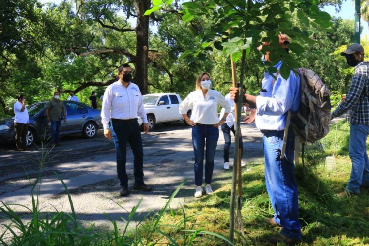 Supervisa Pilar Gómez limpieza en vialidades de Cd. Victoria