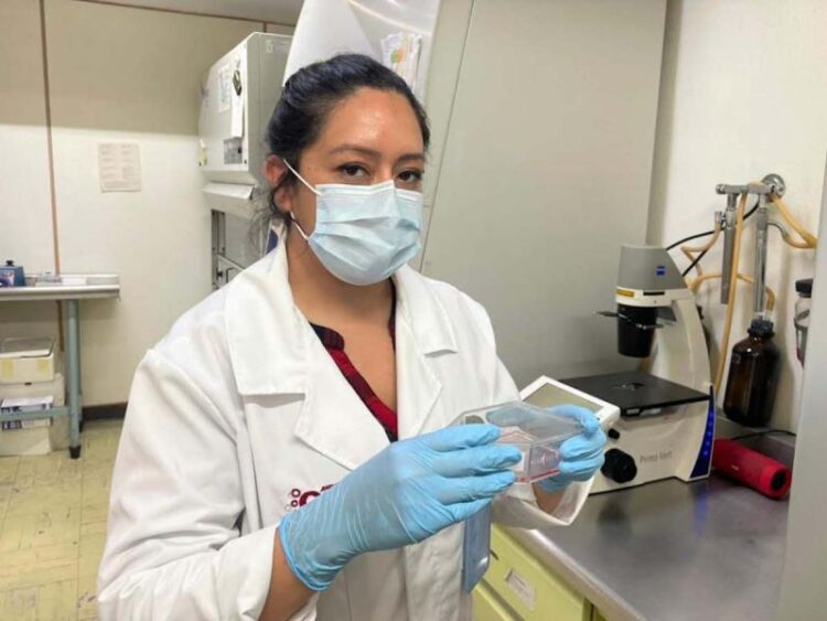 IPN desarrolla biofármaco para tratar Covid-19