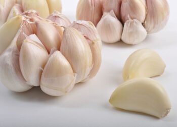 Se ubica México como el noveno exportador mundial de ajos