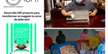 Desarrolla UAT proyecto para transformar en nuggets la carne de jaiba azul