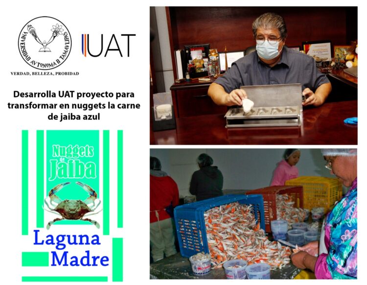 Desarrolla UAT proyecto para transformar en nuggets la carne de jaiba azul