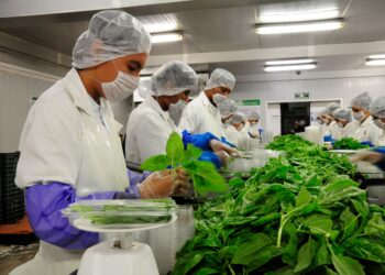 Consolidan México y Estados Unidos Alianza para la Inocuidad Alimentaria