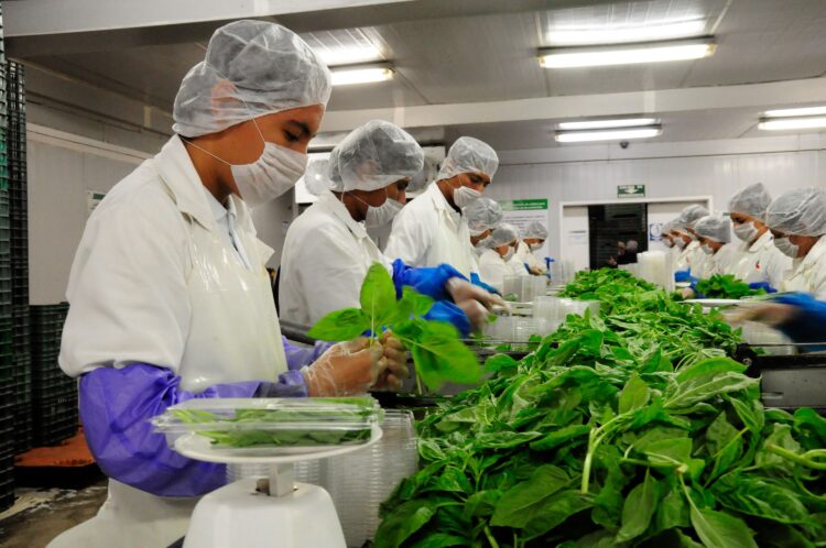 Consolidan México y Estados Unidos Alianza para la Inocuidad Alimentaria