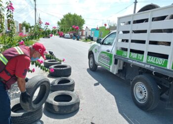 Eliminan criaderos del mosco transmisor del dengue en 46 colonias de Matamoros