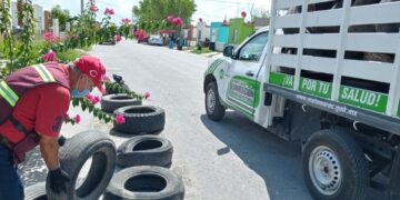 Eliminan criaderos del mosco transmisor del dengue en 46 colonias de Matamoros