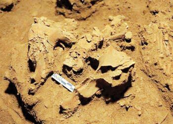 Revelan grupo desconocido de humanos; analizan ADN de esqueleto de 7 mil 200 años